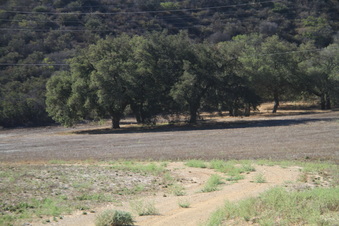 Enlarge photo 66