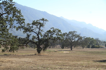 Enlarge photo 67