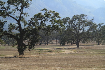 Enlarge photo 68
