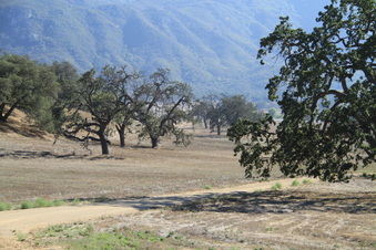 Enlarge photo 74