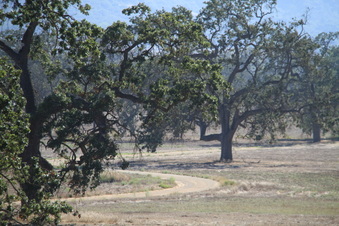 Enlarge photo 75