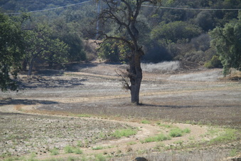 Enlarge photo 78