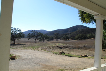 Enlarge photo 79