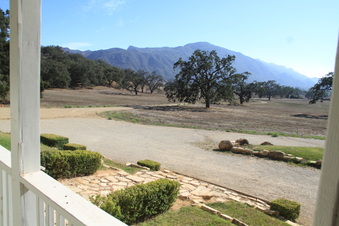 Enlarge photo 81
