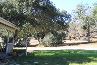 Enlarge photo 92