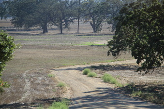 Enlarge photo 94