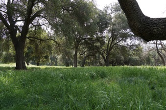 Enlarge photo 18