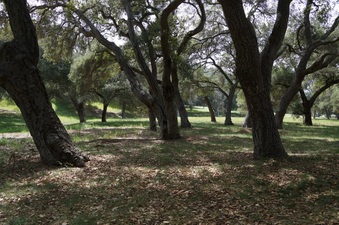 Enlarge photo 20