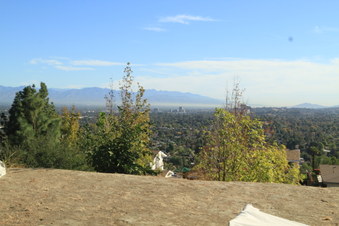 Enlarge photo 42