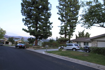 Enlarge photo 55