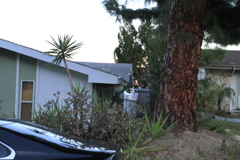 Enlarge photo 3