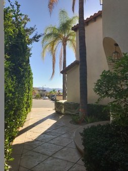 Enlarge photo 44
