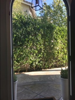 Enlarge photo 11