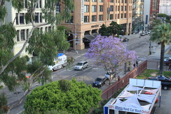 Enlarge photo 13