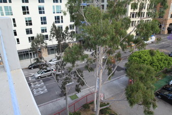 Enlarge photo 15