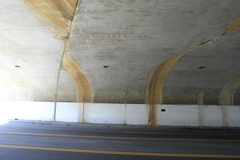 Enlarge photo 37