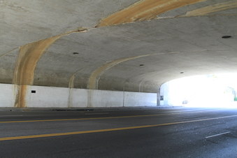 Enlarge photo 35