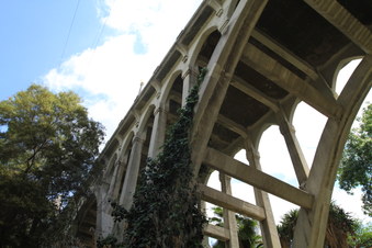 Enlarge photo 47