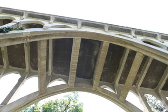 Enlarge photo 48