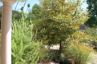 Enlarge photo 5