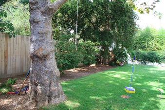 Enlarge photo 93