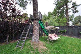 Enlarge photo 80