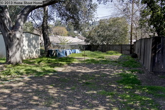 Enlarge photo 45