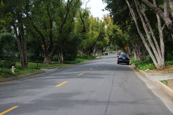 Enlarge photo 13