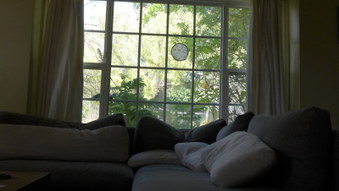 Enlarge photo 25