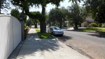 Enlarge photo 10