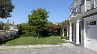 Enlarge photo 14