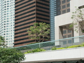 Enlarge photo 228