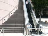 Enlarge photo 313