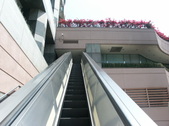 Enlarge photo 323