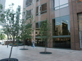 Enlarge photo 30