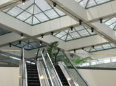 Enlarge photo 71