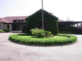 Enlarge photo 3