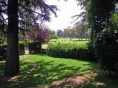 Enlarge photo 37