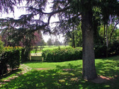 Enlarge photo 38
