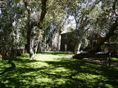 Enlarge photo 84