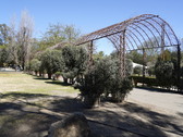 Enlarge photo 115