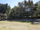Enlarge photo 120