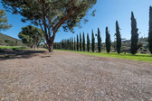 Enlarge photo 133
