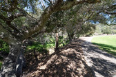 Enlarge photo 136