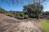Enlarge photo 142