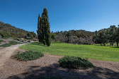 Enlarge photo 145