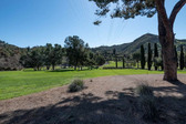 Enlarge photo 146