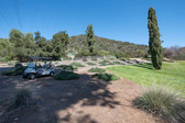 Enlarge photo 149