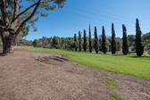 Enlarge photo 151