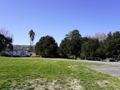 Enlarge photo 81